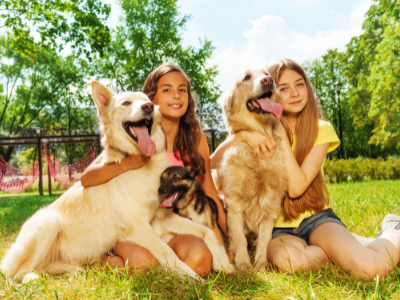 pet insurance header